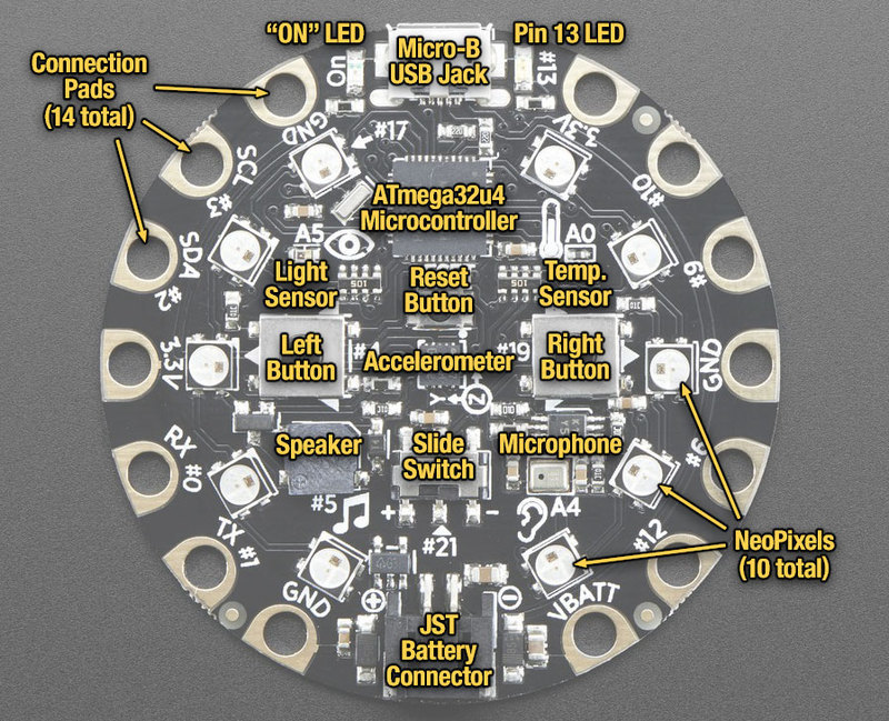 Circuit Playground input/output, photo courtesy of Adafruit
